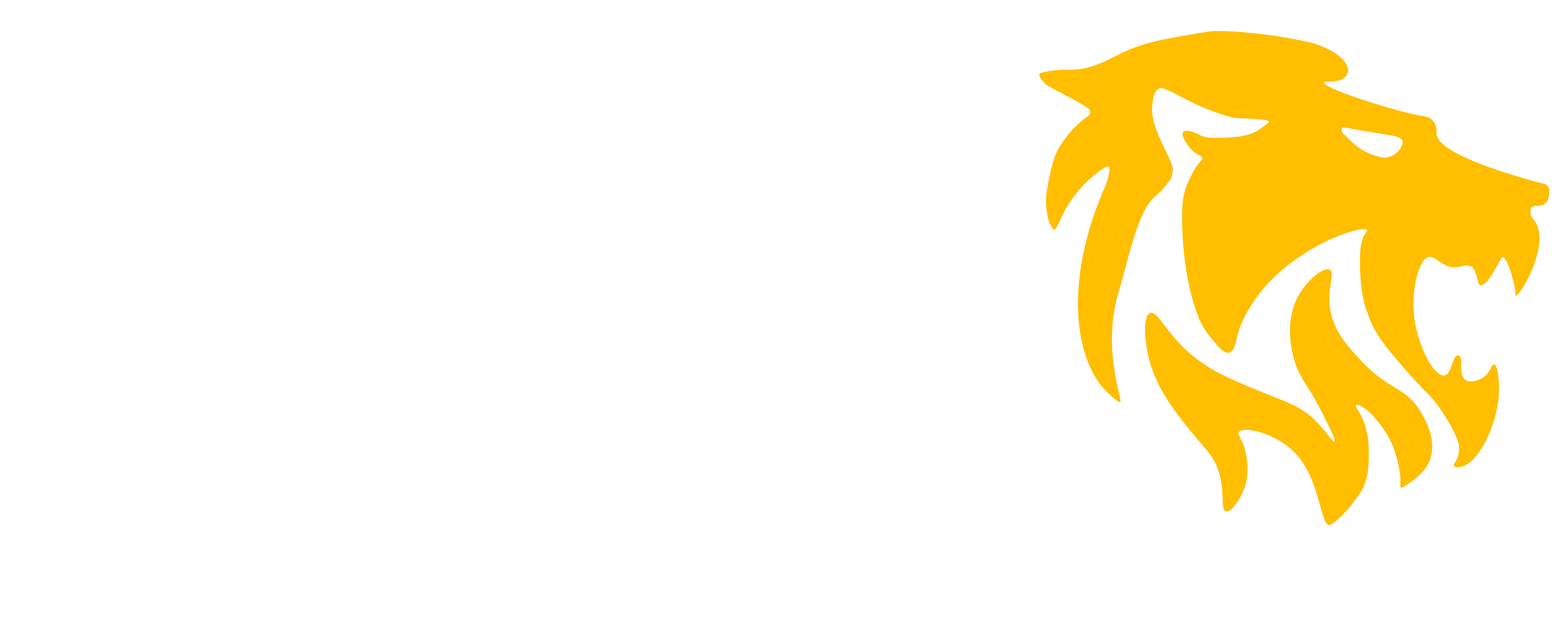 Fawz Finansial Indonesia